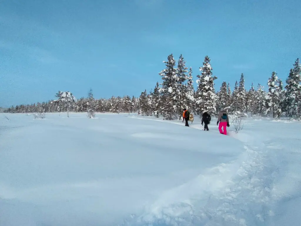 raquettes à neige en laponie suédoise