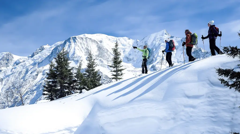 sortie raquettes à neige avec un accompagnateur en montagne