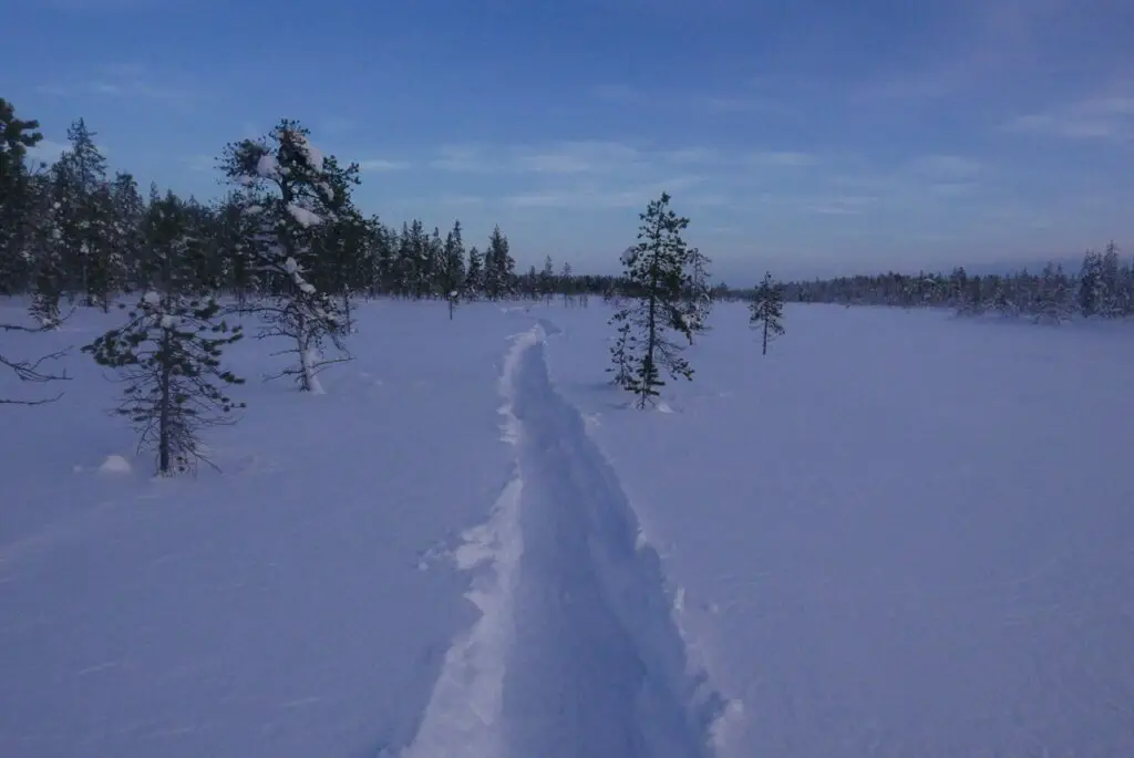 Trace dans la neige en raquette à neige en suède pres de karesuando