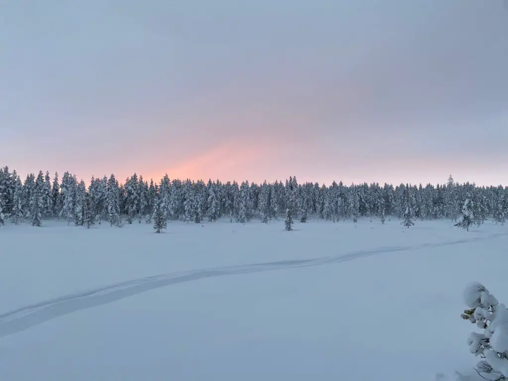 trace dans pouderuse en raquette à neige en suede