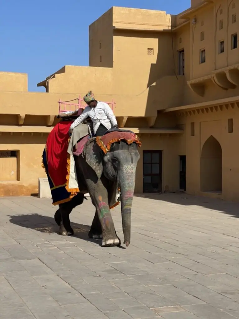 elephant au fort d'amber