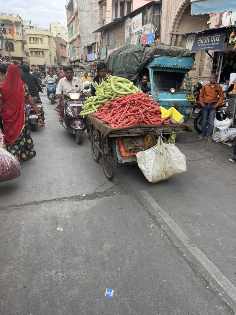 la vie au marché à udaipur au Rajasthan