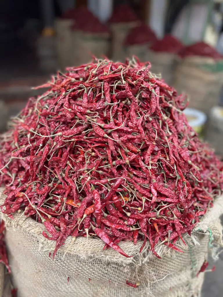 piments rouge au marché d'udaipur en inde