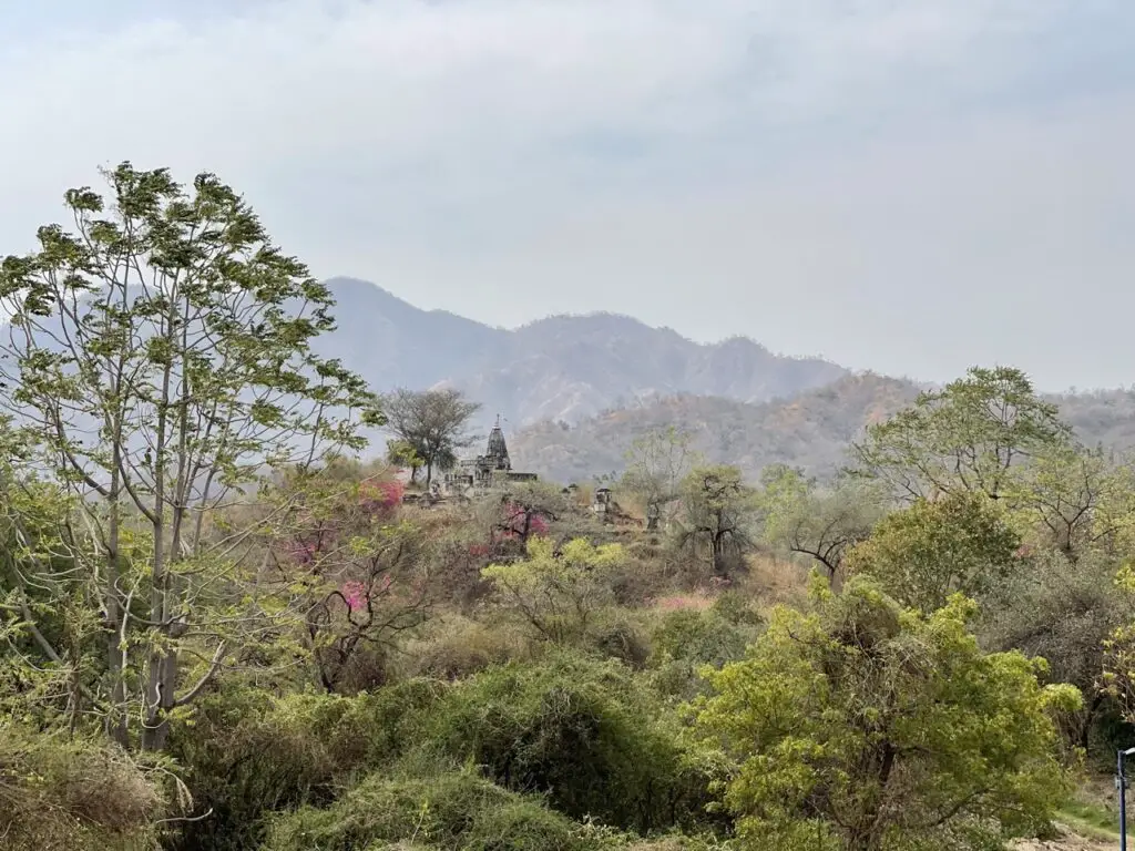 Temple jaïn à Ranakpur en pleine nature montagneuse dans le rajasthan