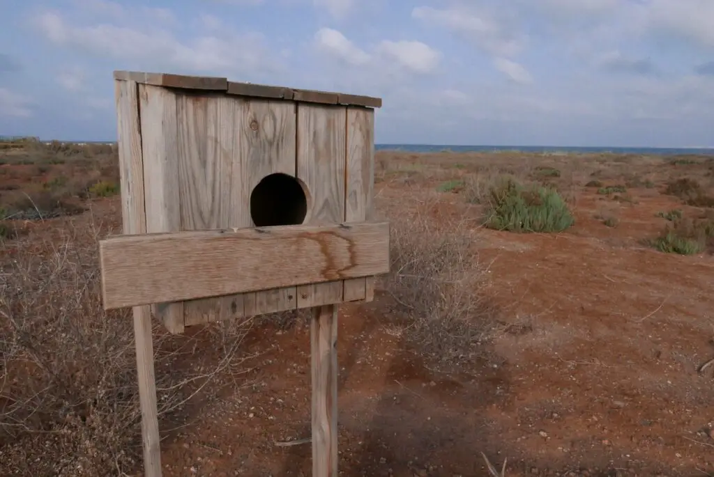 abri pour oiseaux au parc ornithologique de la lagune Marchica au Maroc