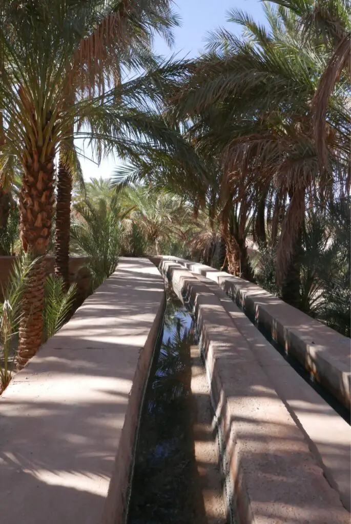 canaux d'irrigation acheminant et distribuant l'eau dans la palmeraie marocaine à Figuig