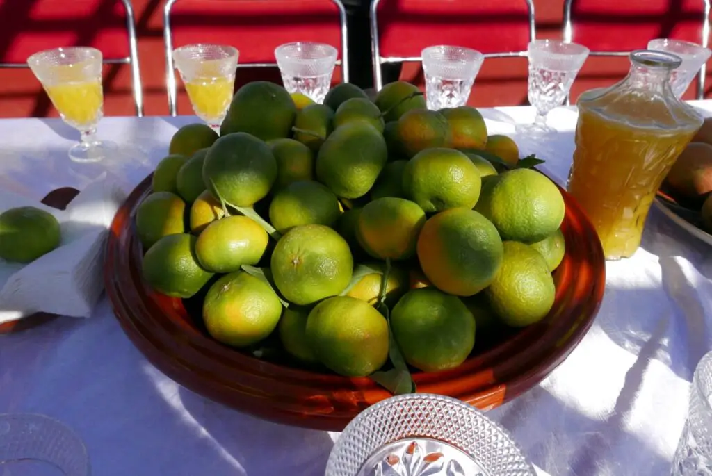 corbeille d'orange bio de la ferme équestre Yassmine au Maroc