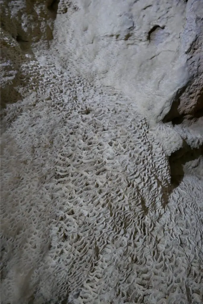 découverte de la grotte du chameau pres de berkane au Maroc