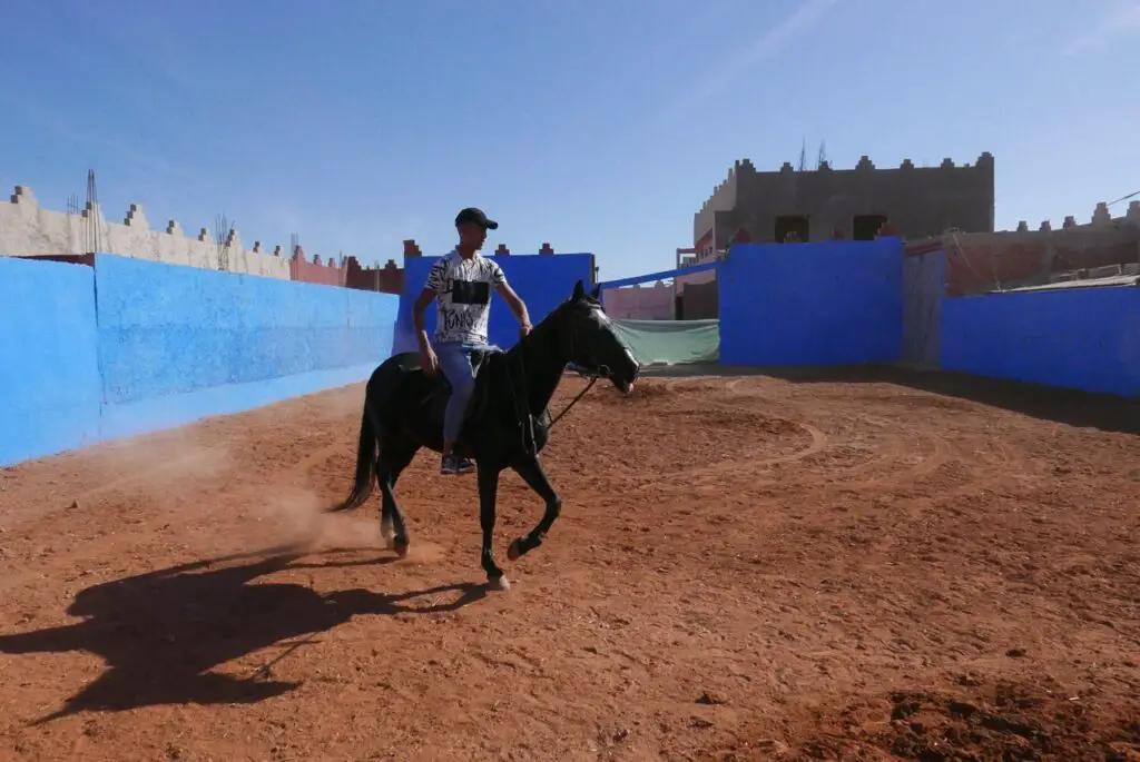 Démonstration équestre au centre d'équitation de Yassmine au Maroc près de Saïdia