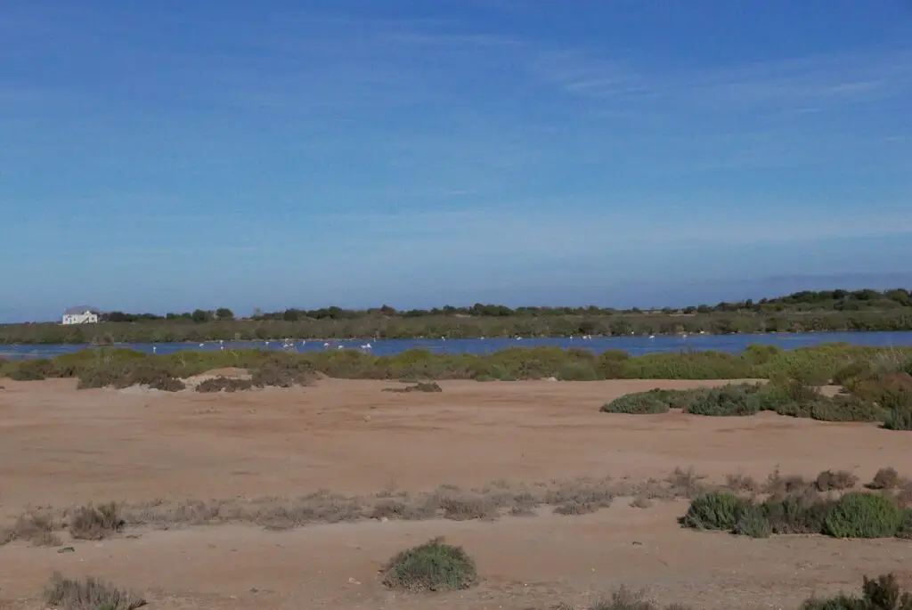 Embouchure de la Moulouya dans la région de l'oriental marocain