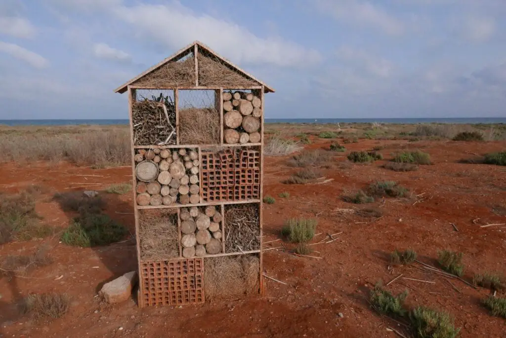 ferme à insectes au parc ornithologique de la lagune Marchica au Maroc