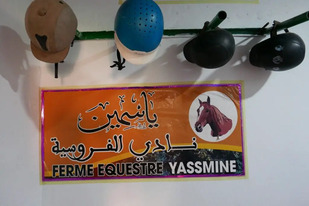 Ferme équestre Yassmine