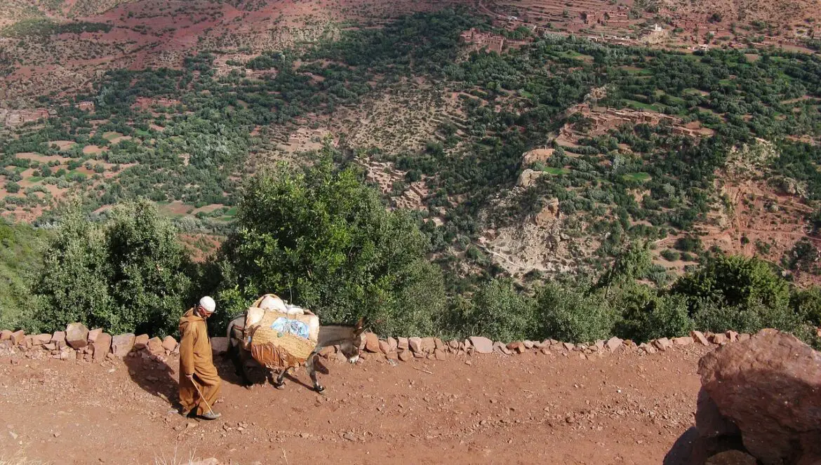 L'Oriental : que découvrir en voyage dans la région ?