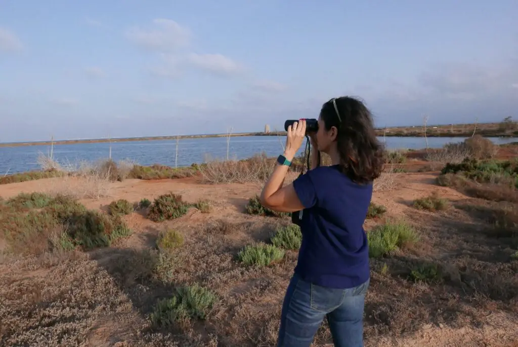 Observation des oiseaux du Centre ornithologique de la lagune Marchica au Maroc