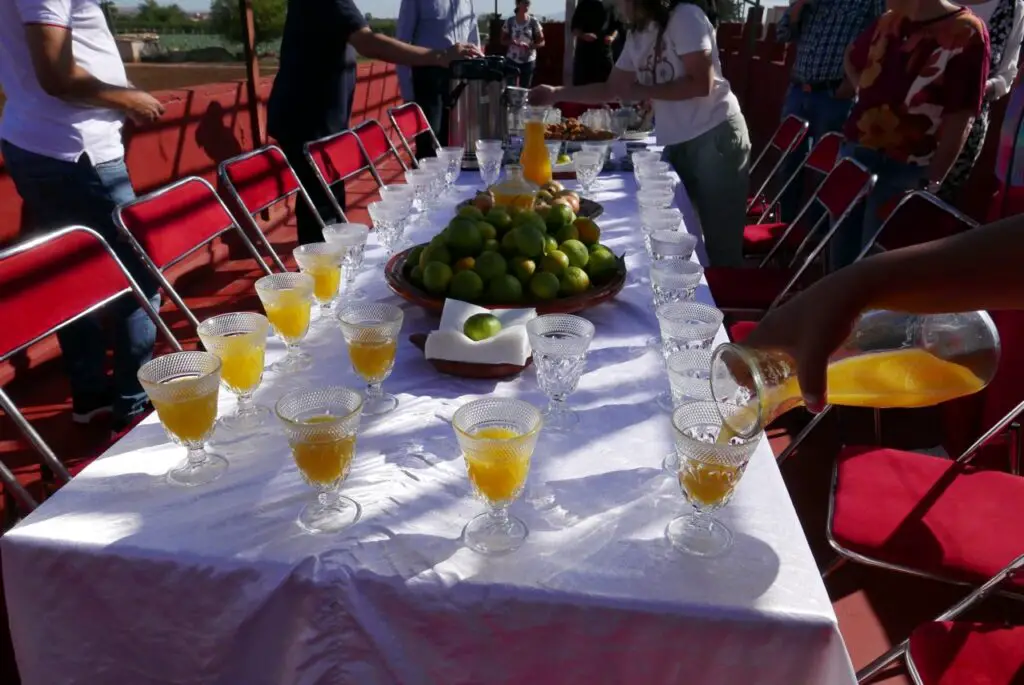 Table d'accueil avec jus d'orange bio de la ferme équestre Yassmine au Maroc