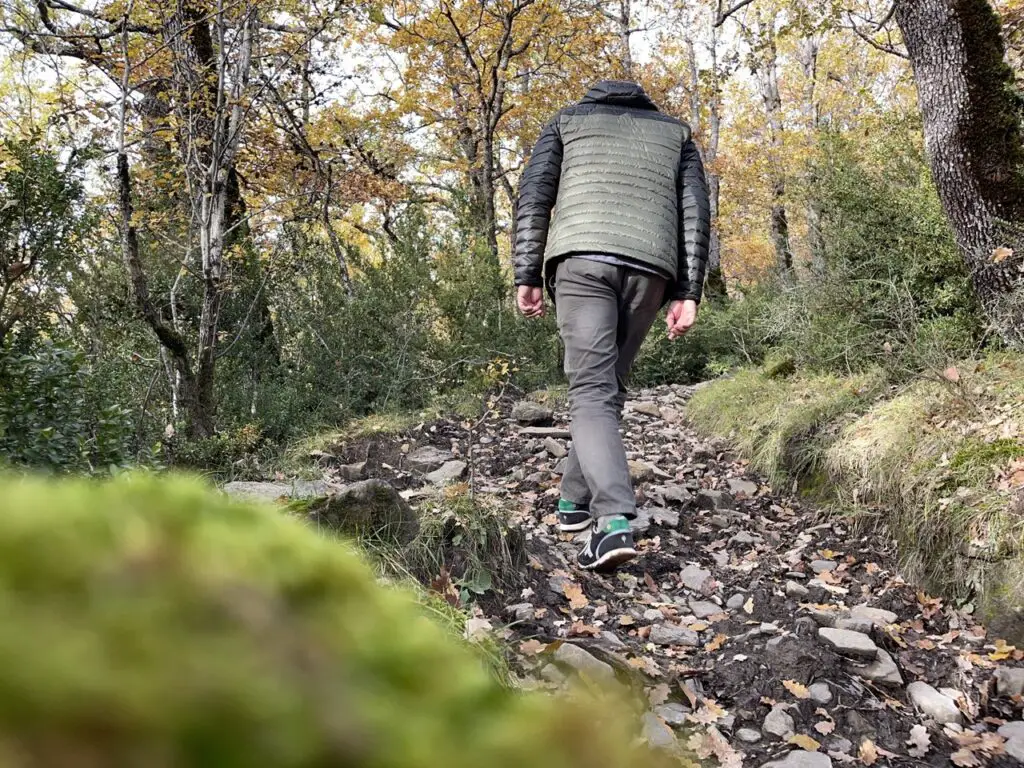 Marche en foret au dessus de Linas de Broto