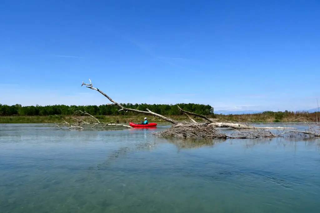 En kayak, il faut toujours être attentif aux arbres tombés dans l'eau