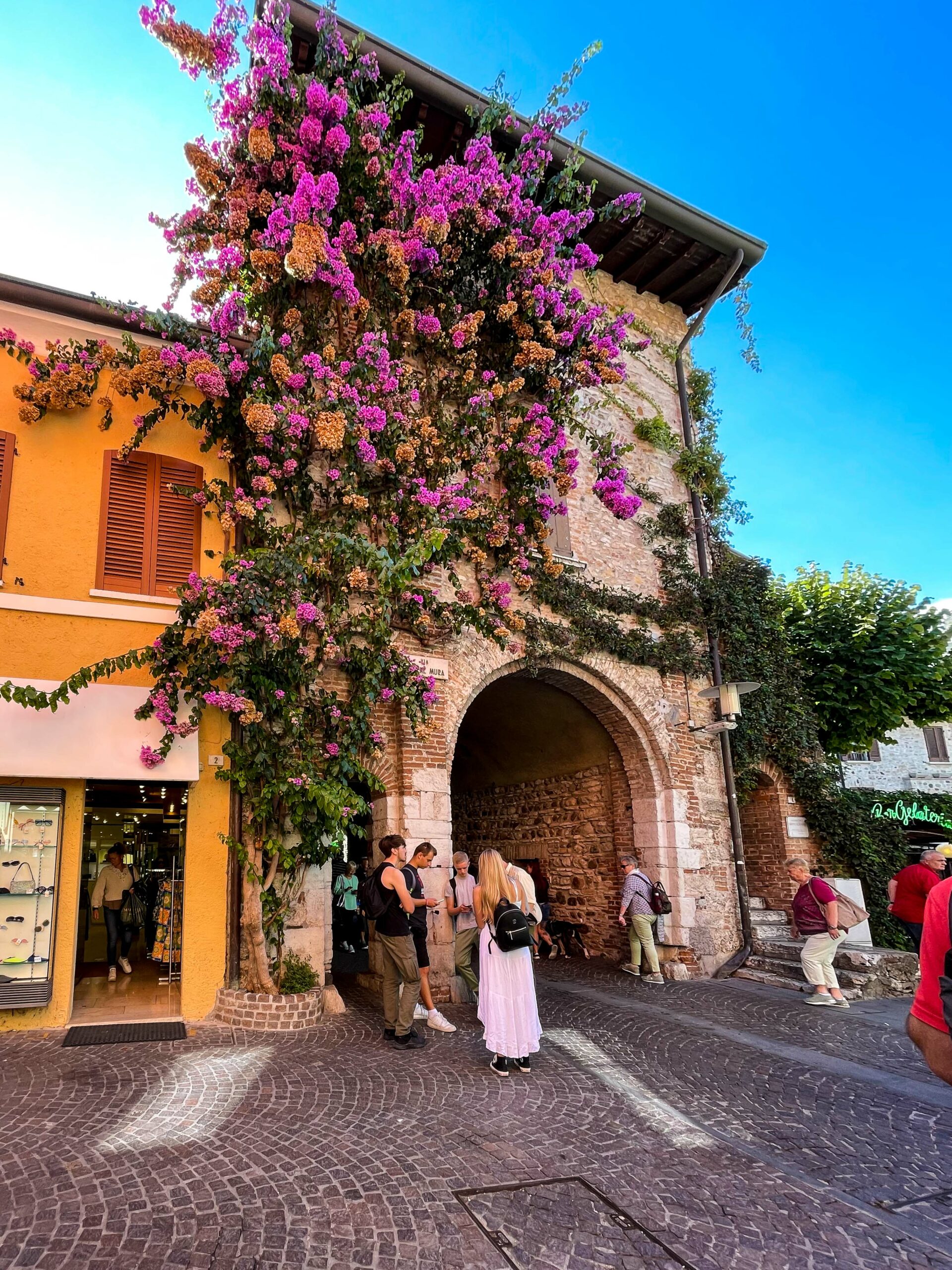 Fleur Centre historique Sirmione