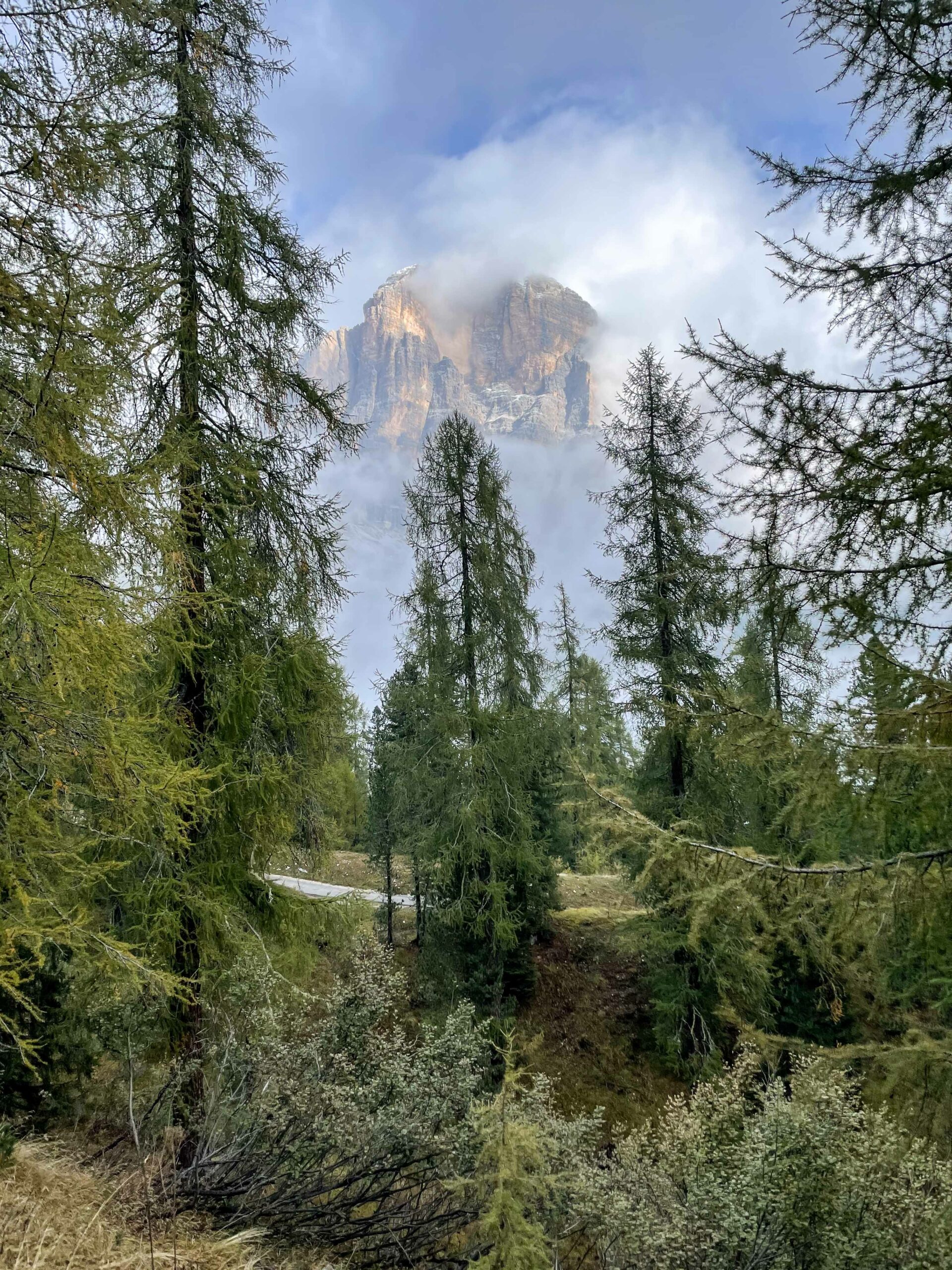 retour randonnée cinque torri Dolomites