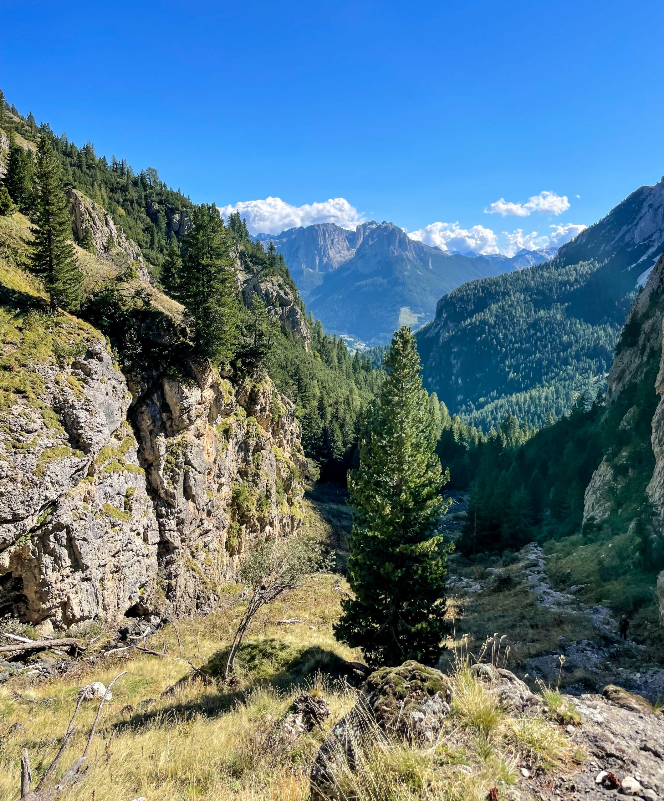 Vue val d'Udai dolomites