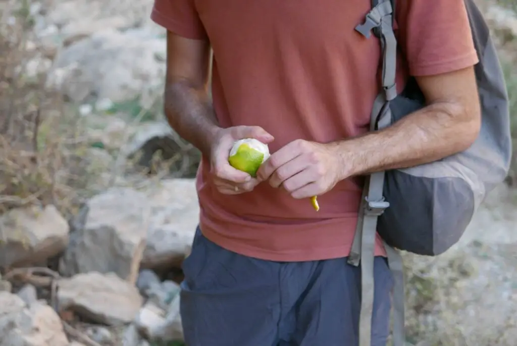 Dégustation d'une orange Bio et sauvage des montagnes du Maroc