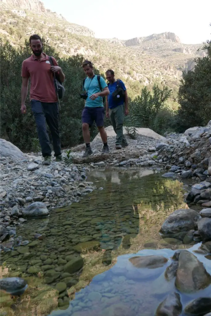 Et milieu de l'oued Didi coule une rivière