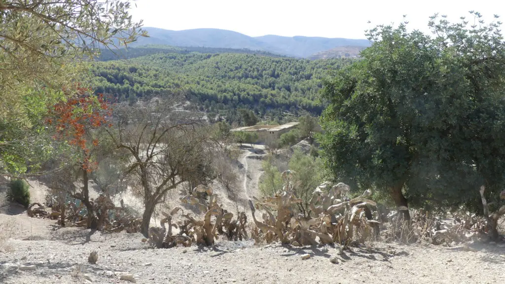 Maison en plein milieu des montagnes de l'oriental Marocain