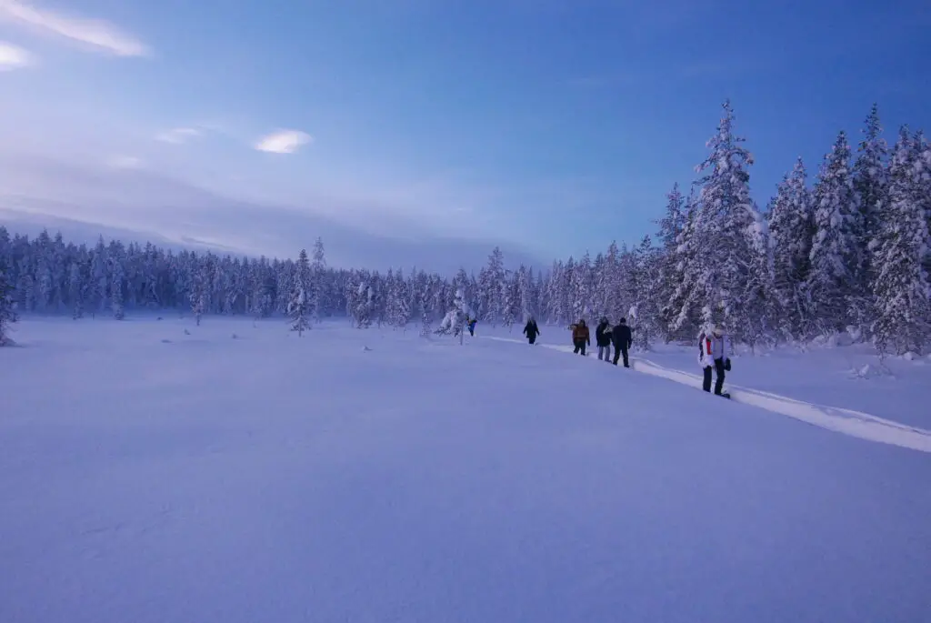 Raquettes à neige en laponie suedoise avec un accompagnateur en montagne