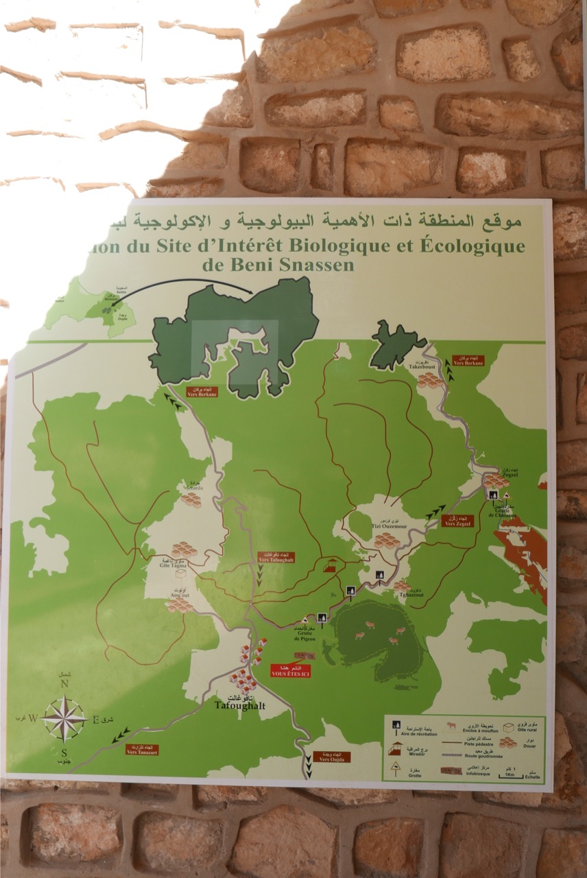Site Interet Biologique et Ecologique du massif de Béni Snassen