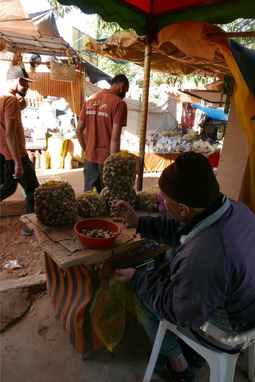 vendeur d'escargots au marché de Tafoughalt au Maroc