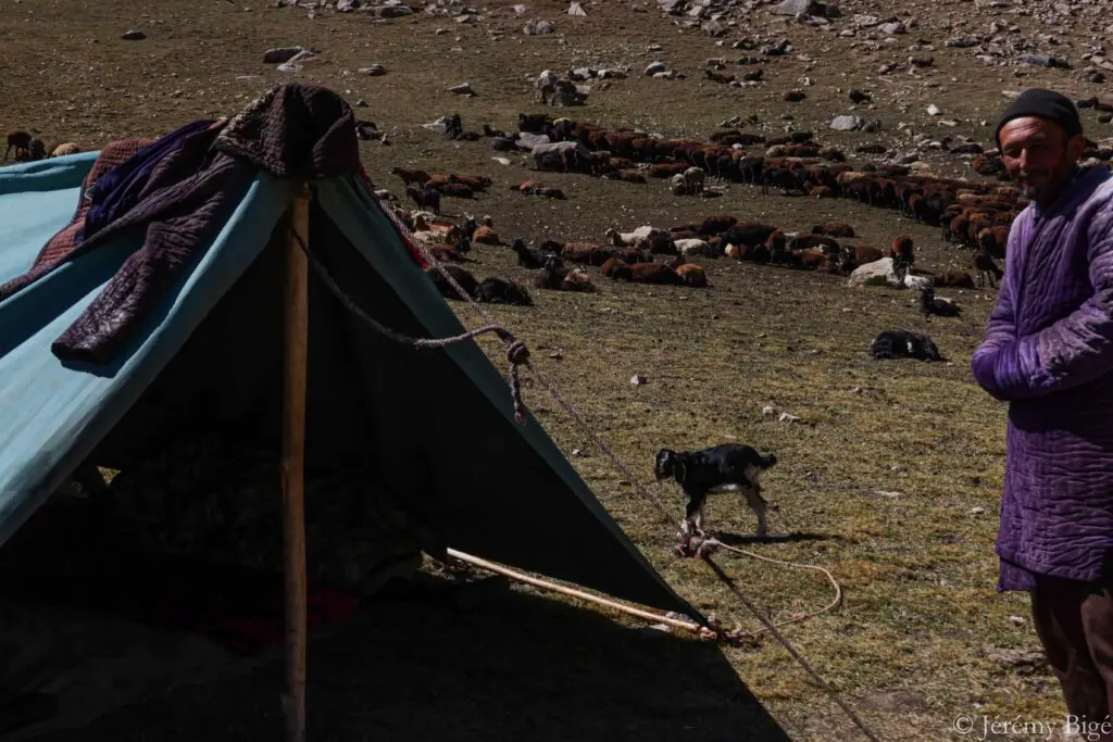 Rencontre avec un berger au col de Kuturgan (3705m).