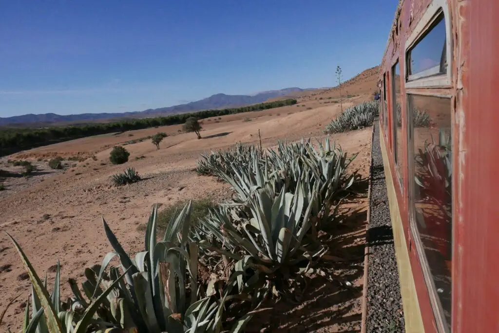 Paysage de cactus dans le désert marocain sur l'oriental désert express