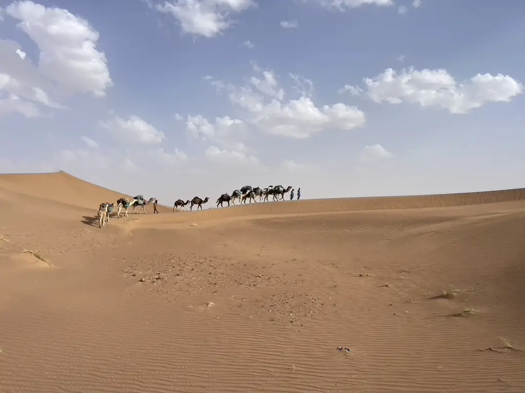 bien choisir son équipement pour le désert
