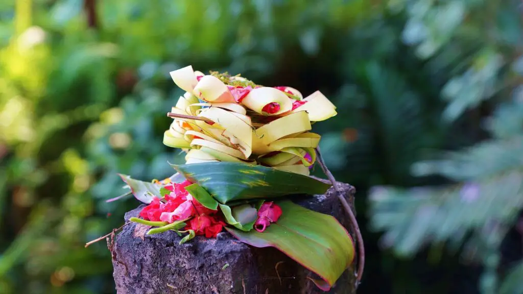 fleurs et rituels balinais