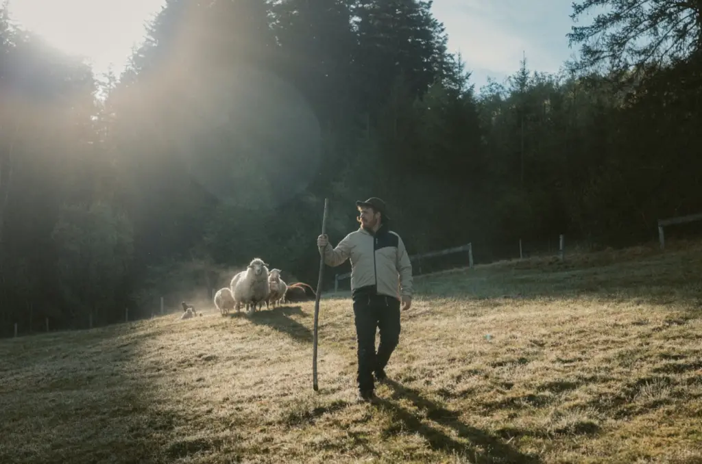 nouvelles isolations naturelles innovantes Ortovox