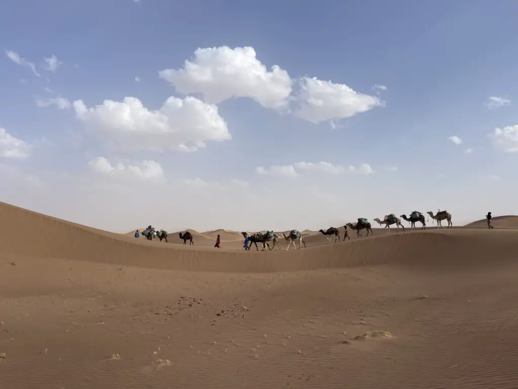 randonnée avec dromadaires dans le désert marocain