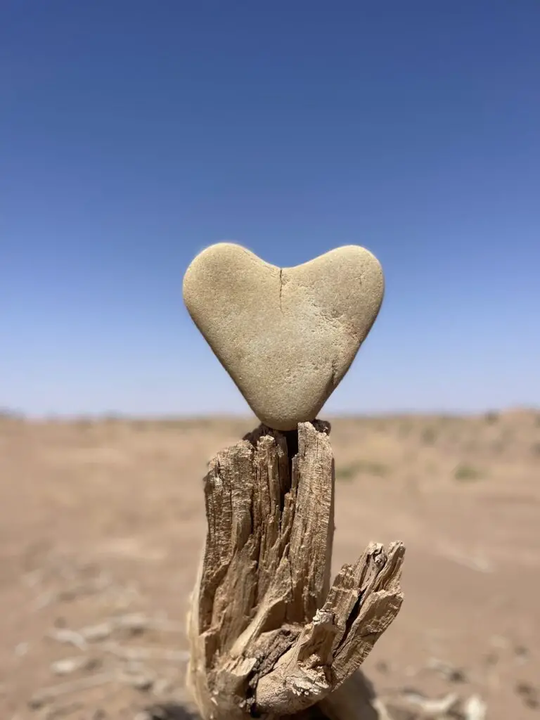 Sur le chemin du Coeur à la rencontre de son Féminin et de son Masculin