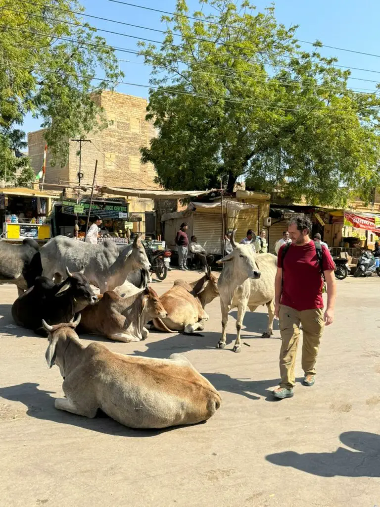 visite de l'inde et de sa culture