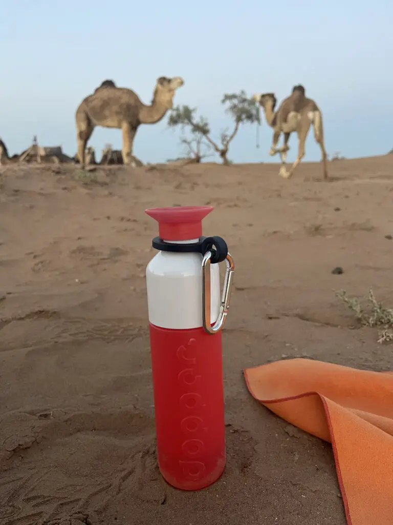 Dopper gourde robustesse et performance pour l'aventure