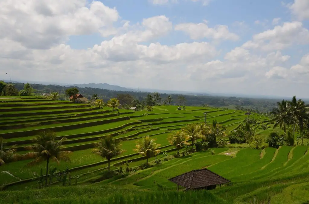 Sidemen L'authenticité au cœur des rizières balinaises