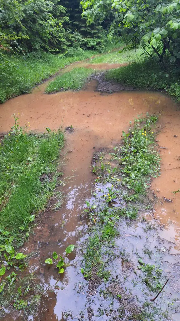 test chaussure sportiva-rocher-bournillon-vercors-orage-vercors