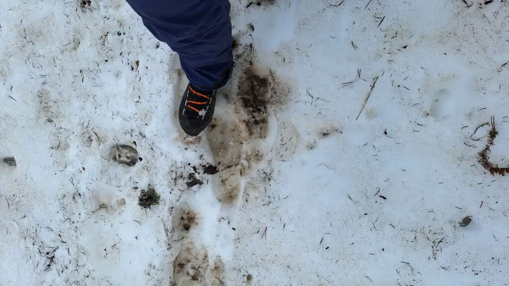 test chaussure sportiva-Sambuy-descente-neige-massif des bauges