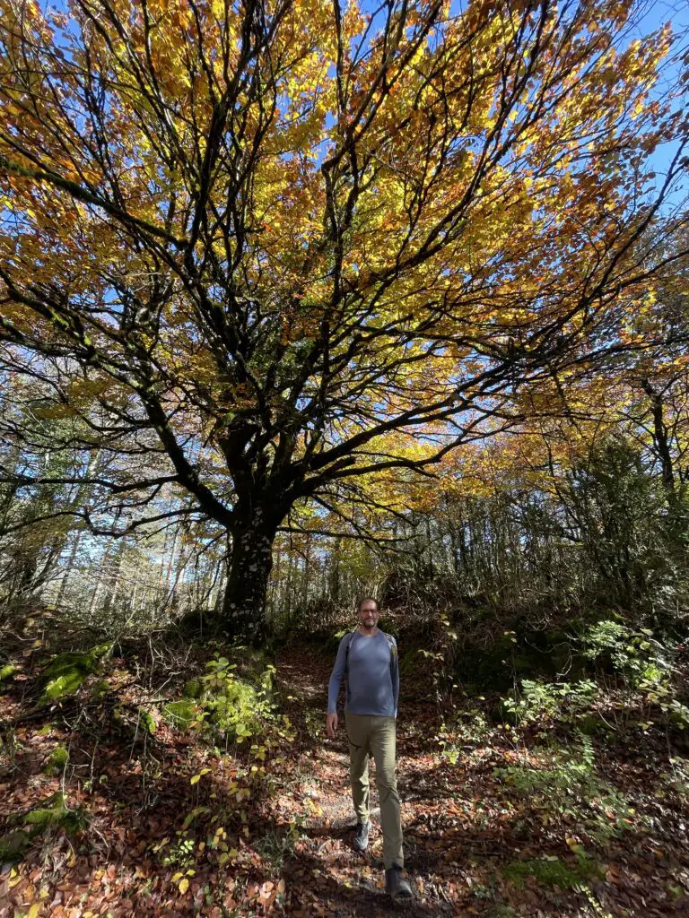 pantalon et t-shirt manche longue homme Helly Hansen pour la randonnée