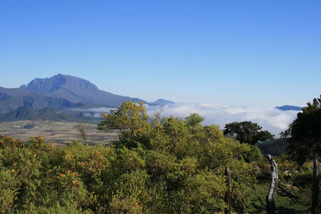plaine des cafres réunion