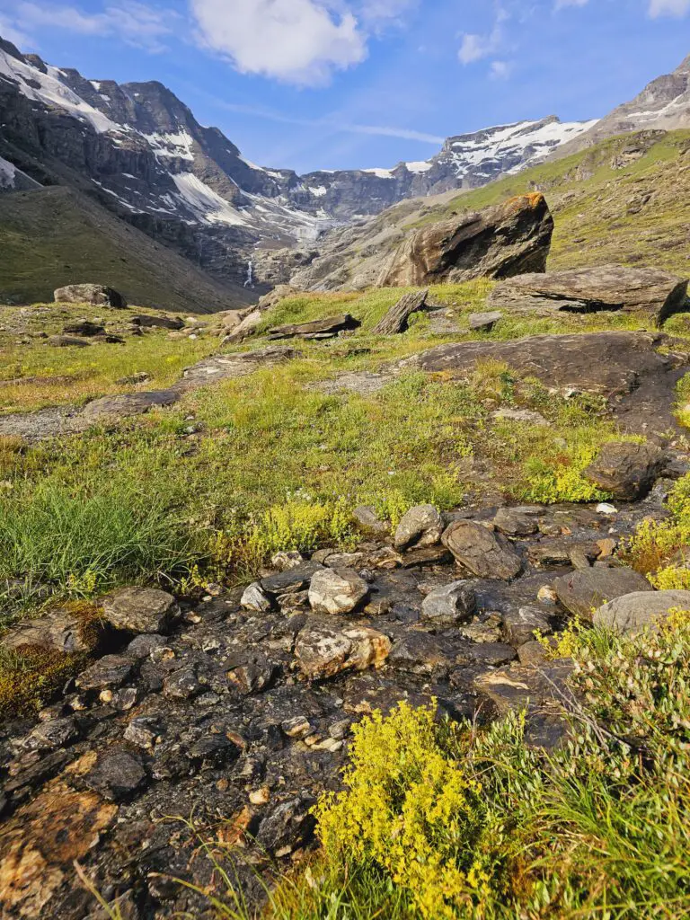 randonnée pra fleuri arolla