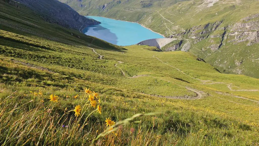 corne de sorebois walker's haute route
