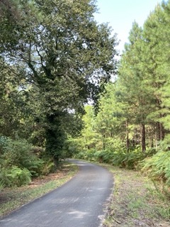 Tour du bassin d'Arcachon à vélo