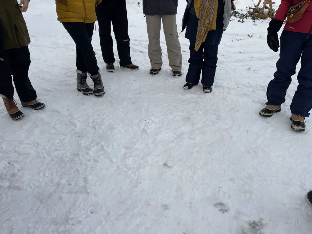 Les différents modèles de bottes de neige Sorel disponibles