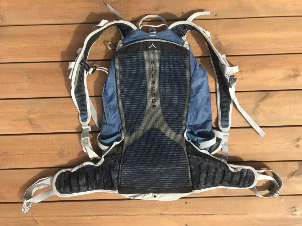 Dos du talon 2010