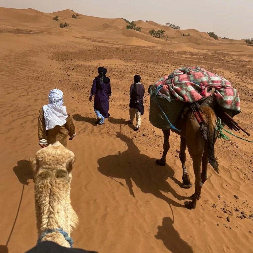 séjour dans le désert au Maroc avec dromadaire